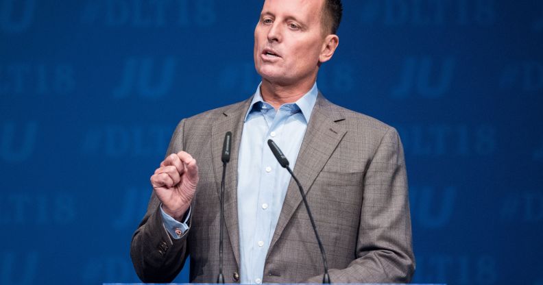 Richard Grenell, US ambassador to Germany