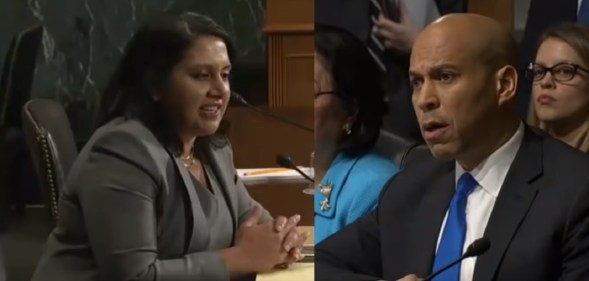 Conservative lawyer Neomi Rao was challenged by Cory Booker over her criticism of the ruling that legalised gay sex