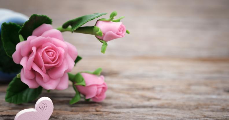 Valentine's Day gifts. Pink rose and heart that says I love you. Valentines Day