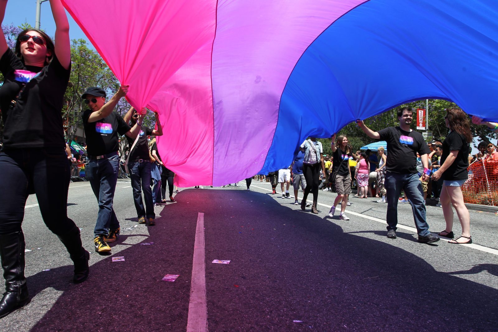 WEST HOLLYWOOD, CA - JUNE 09: People marching with anBi, a bisexual organization, carry a bisexual flag in the 43rd L.A. Pride Parade on June 9, 2013 in West Hollywood, California. More than 400,000 people are expected to attend the parade in support of lesbian, gay, bisexual and transgender communities. (Photo by David McNew/Getty Images)