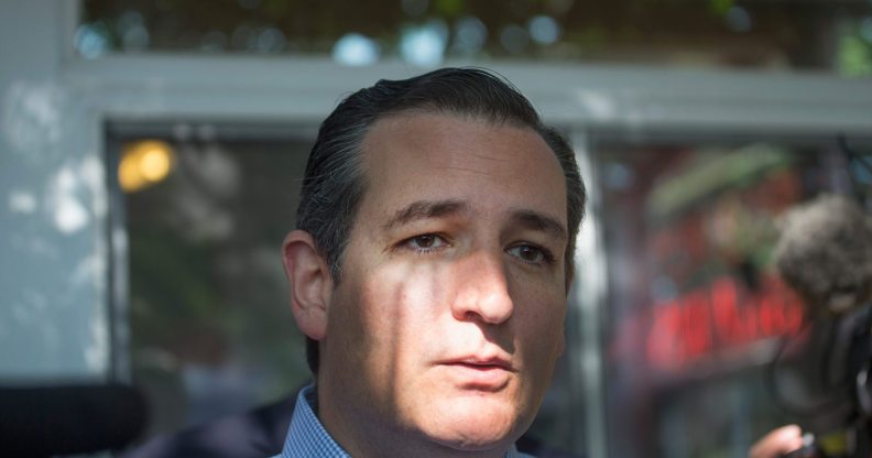 DES MOINES, IA - AUGUST 21: Republican presidential candidate Sen. Ted Cruz (R-TX) is interviewed at the Iowa State Fair on August 21, 2015 in Des Moines, Iowa. Presidential candidates have a tradition of speaking to and greeting guests at the fair which runs until August 23. (Photo by Scott Olson/Getty Images)