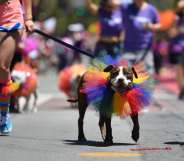 A dog is walked along the San Francisco Pride parade route in San Francisco, California (JOSH EDELSON/AFP/Getty)