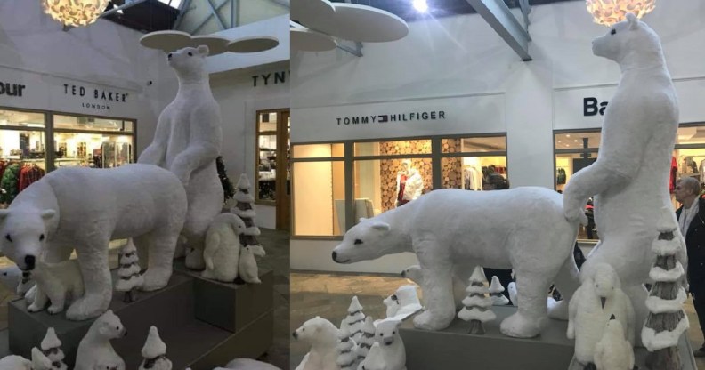 Customers said the two polar bears look like they're having anal sex