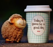 Today is gonna be a good day cup next to smiling sheep