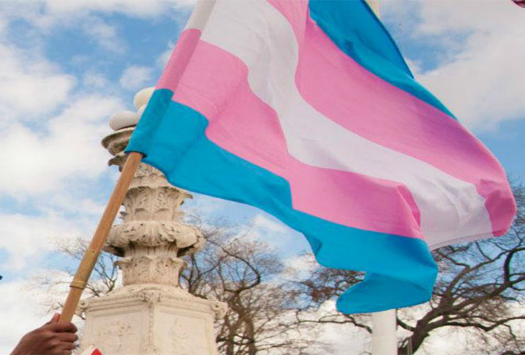 Transgender Flag