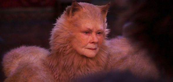 Judi Dench as a cat