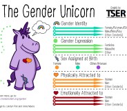 The "Gender Unicorn" handout given by the non-binary teacher