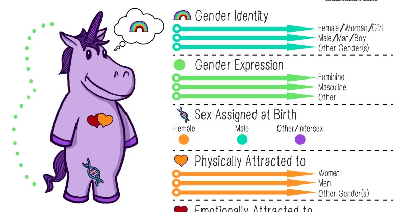 The "Gender Unicorn" handout given by the non-binary teacher