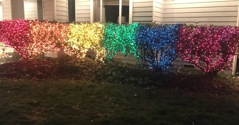 Lexi Magnusson embellished her front-lawn bushes with Pride flag-themed Christmas lights. (reddit)