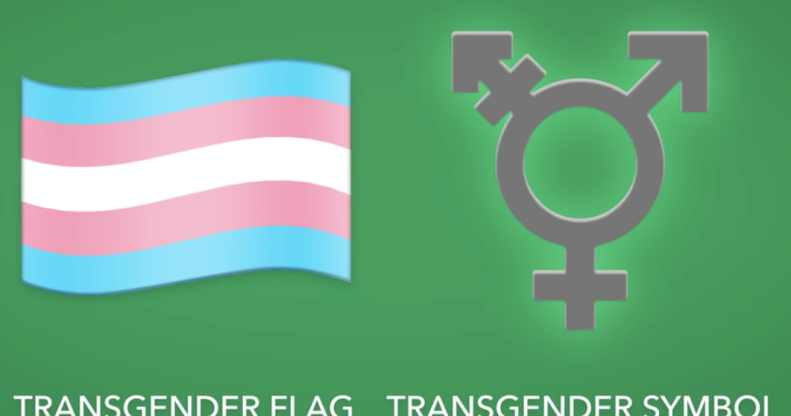 The long-awaited trans Pride flag emoji is finally coming to phones in 2020