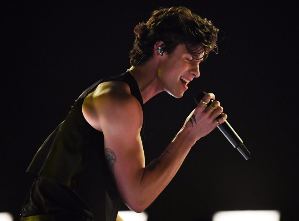 Shawn Mendes. (Kevin Winter/Getty Images for dcp)