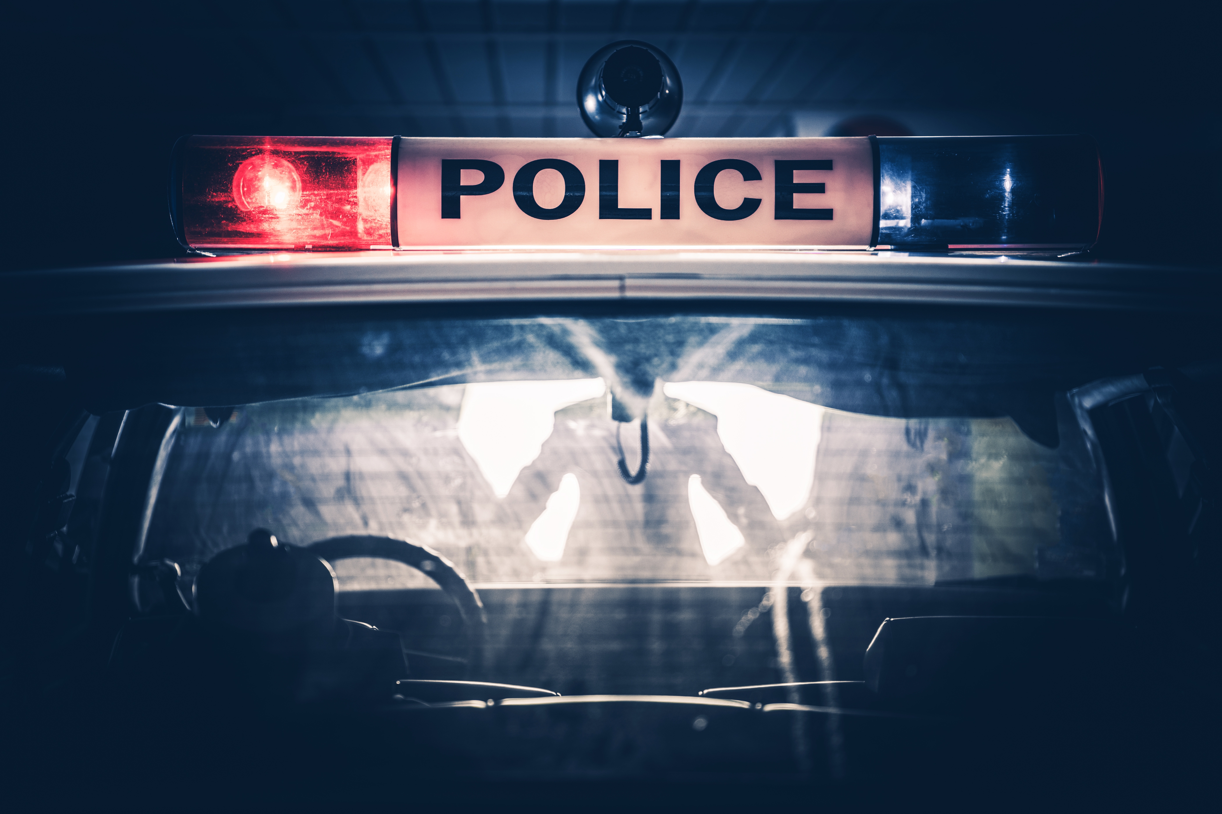 The horrifying attack took place in New York City on Christmas Eve.