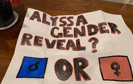 Ice hockey gender reveal