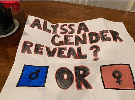 Ice hockey gender reveal