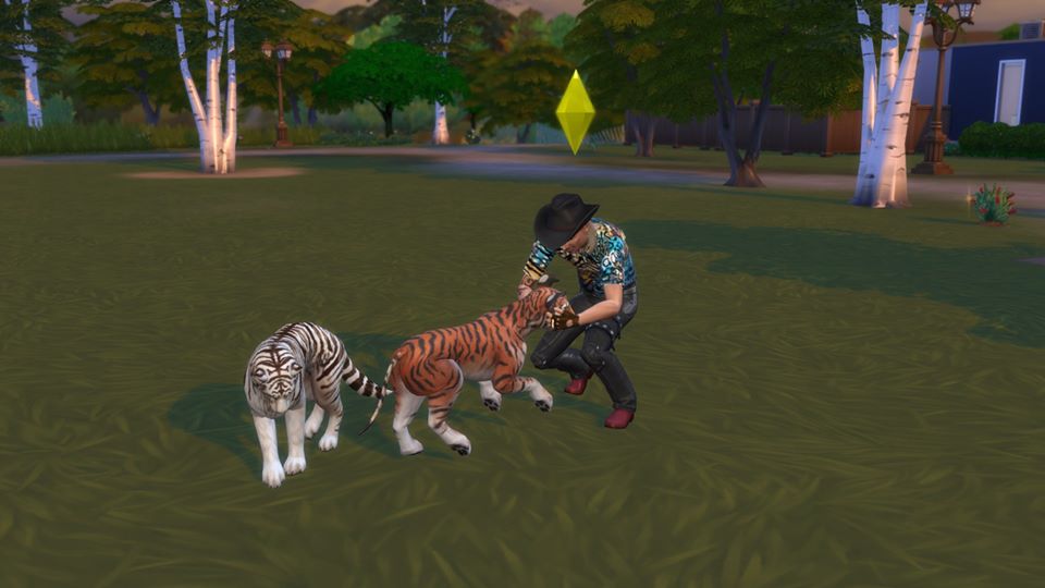 Tiger King