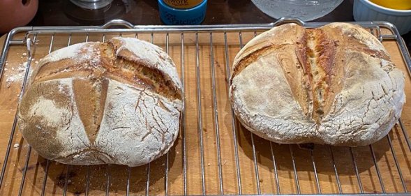 Stephen Fry is the coronavirus pandemic's latest Sourdough Gay