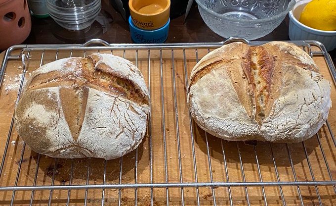 Stephen Fry is the coronavirus pandemic's latest Sourdough Gay