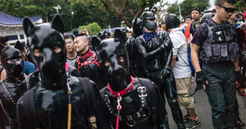 Leather pups at Tapei Pride in Taiwain