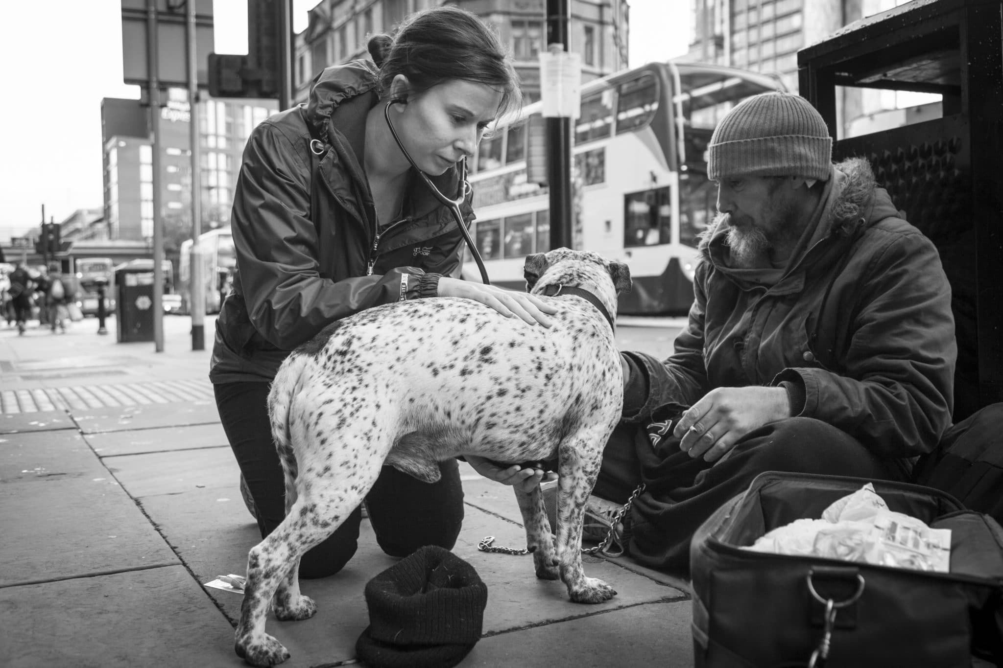 Street Paws Nigel Owens