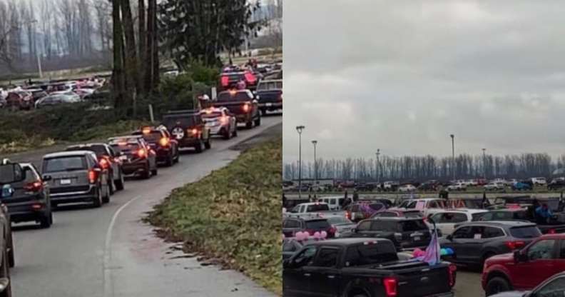 Dozens of cars snaking a Roa/Dozens more parked up with trans Pride flags and banners