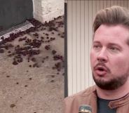 (L) A photo of a walkway covered in blueberries. (R) John McAffrey in a brown racer jacket and black t-shirt