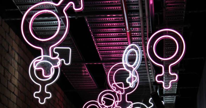 neon gender symbols including male female trans