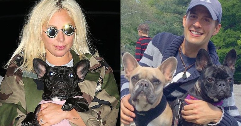 Lady Gaga in a camouflage jacket holding a French bulldog. Ryan Fischer holding two dogs