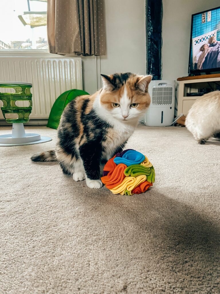 A rainbow snuffle ball. (Etsy/SniffItOutShop)