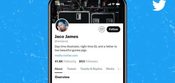 An iPhone showing up a mock Twitter profile with a section for pronouns