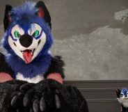 SonicFox