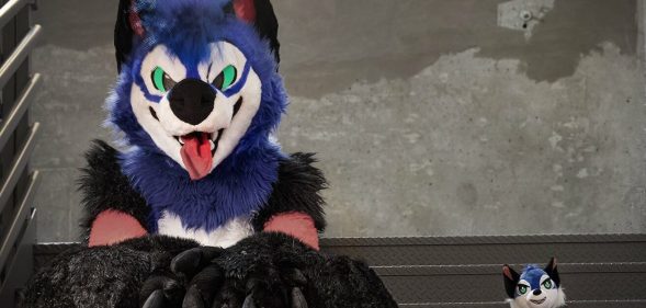 SonicFox