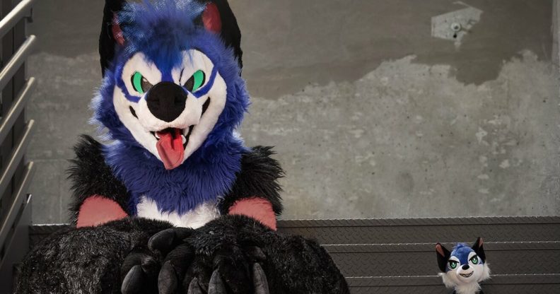 SonicFox