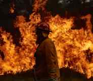 A CFA Member works on controlled back burns