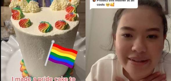 Sab TikTok coming out lesbian Pride flag cake