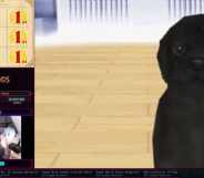 Nintendogs speedrun