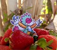 Summer Games Done Quick