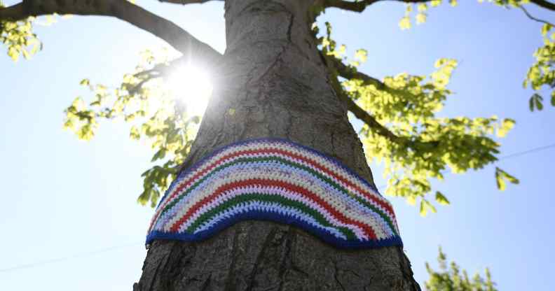 A tree with a knitted rainbow hanging on its trunk