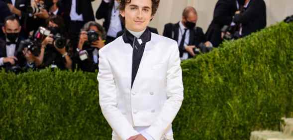 Timothée Chalamet wore a pair of Converse to the Met Gala 2021.