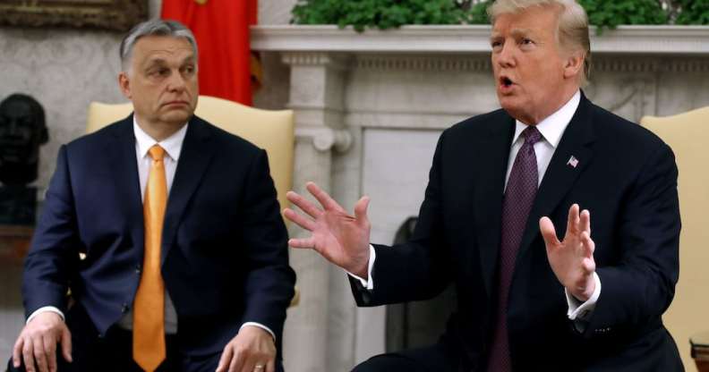 Donald Trump at a meeting with Hungarian prime minister Viktor Orban, in the Oval Office