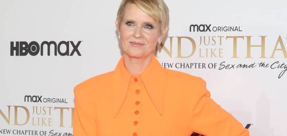 Cynthia Nixon wears an orange outfit and smiles at the camera