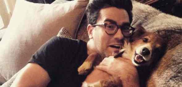 Dan Levy holds a fluffy brown and white dog