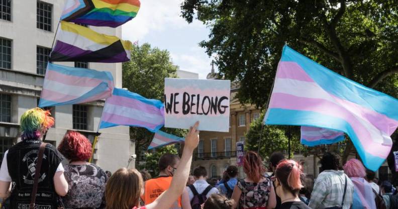 several people hold up trans Pride flags, a non-binary flag and a progressive Pride flag with one person holding a sign that reads "we belong"