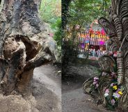 National Trans Memorial tree burned Manchester before and after