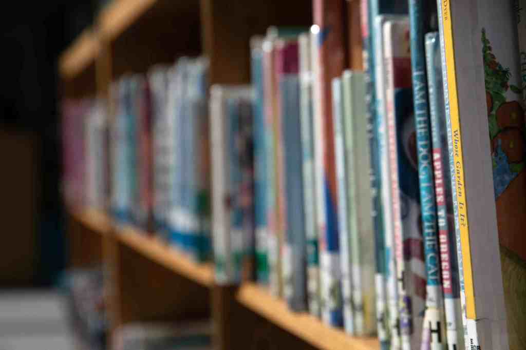 A row of books on a shelf