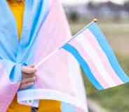 A trans person holding a flag with the trans flag draped over them.