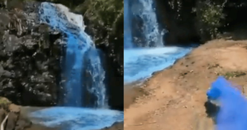 Brazil reaches peak gender reveal as dyed waterfall investigated for 'possible environmental damage'