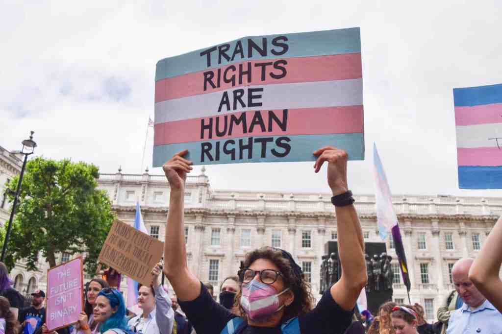 A protester holds a placard with the colours of the transgender flag saying trans rights are human rights