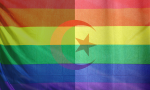 An image of an Algerian flag overlaid with a Pride flag