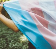 Trans flag