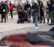 Two mutilated dolphin corpses next to a crowd of people.